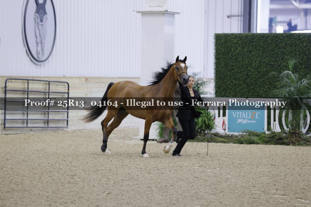 Proof 25R13_04164