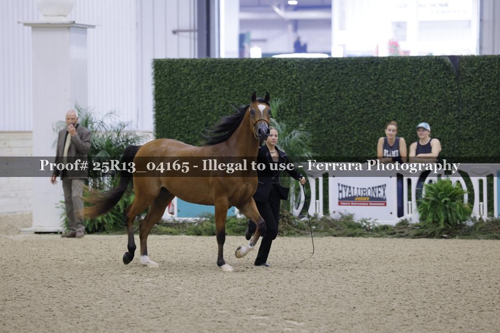 Proof 25R13_04165