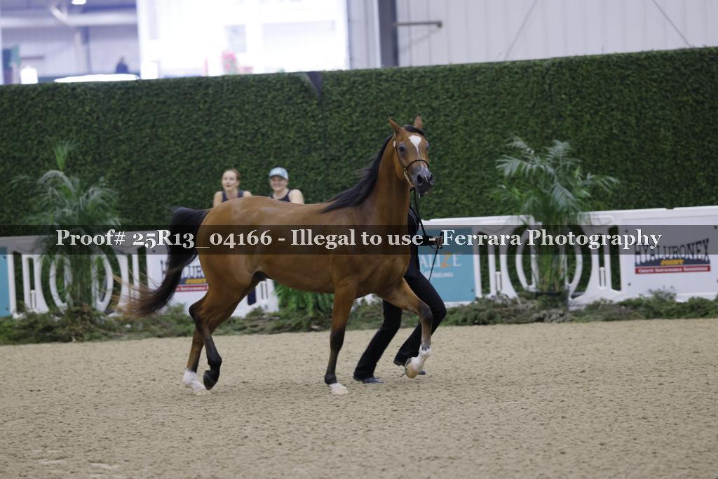 Proof 25R13_04166
