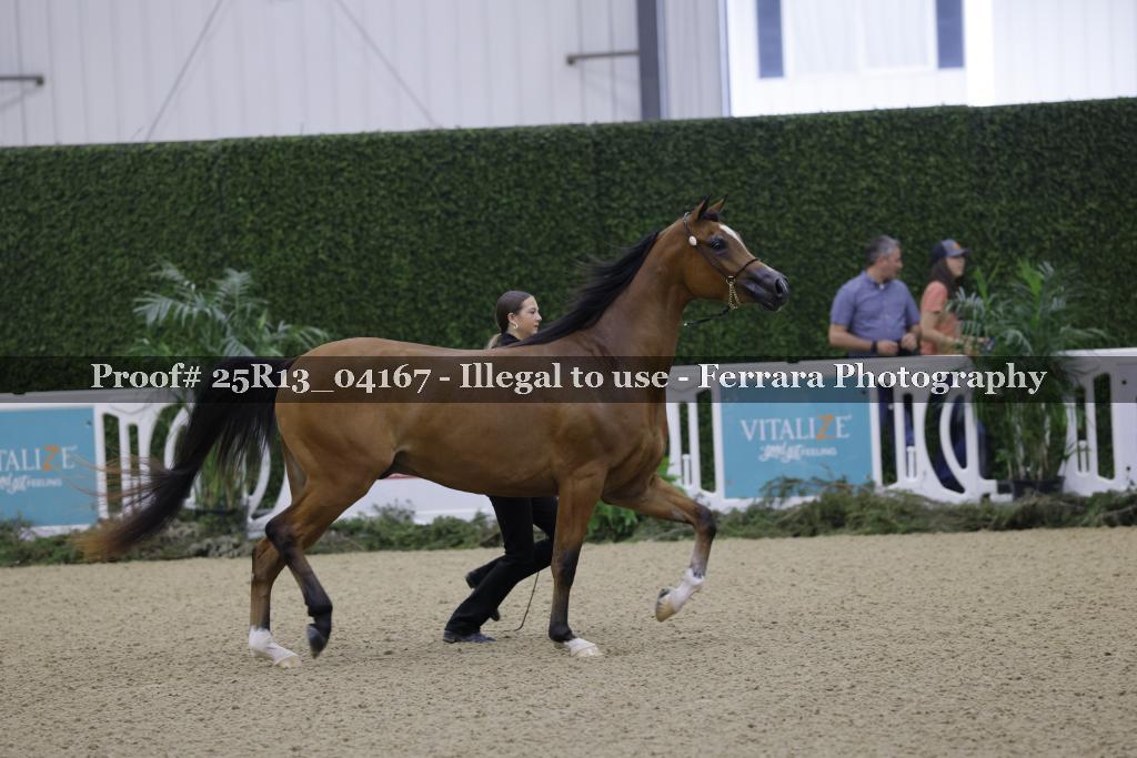 Proof 25R13_04167
