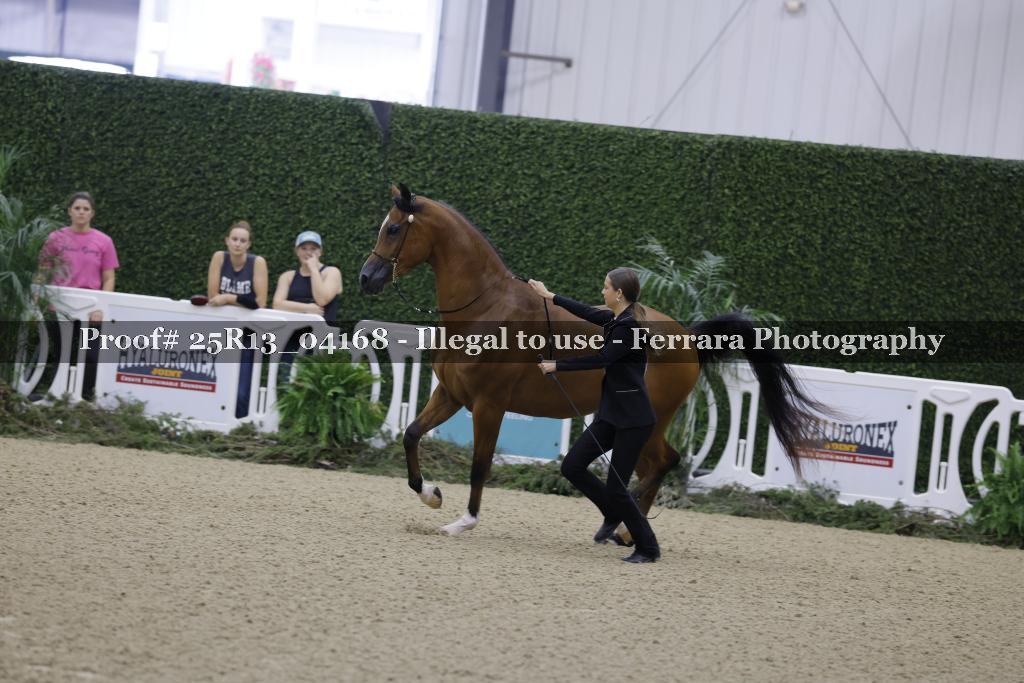 Proof 25R13_04168