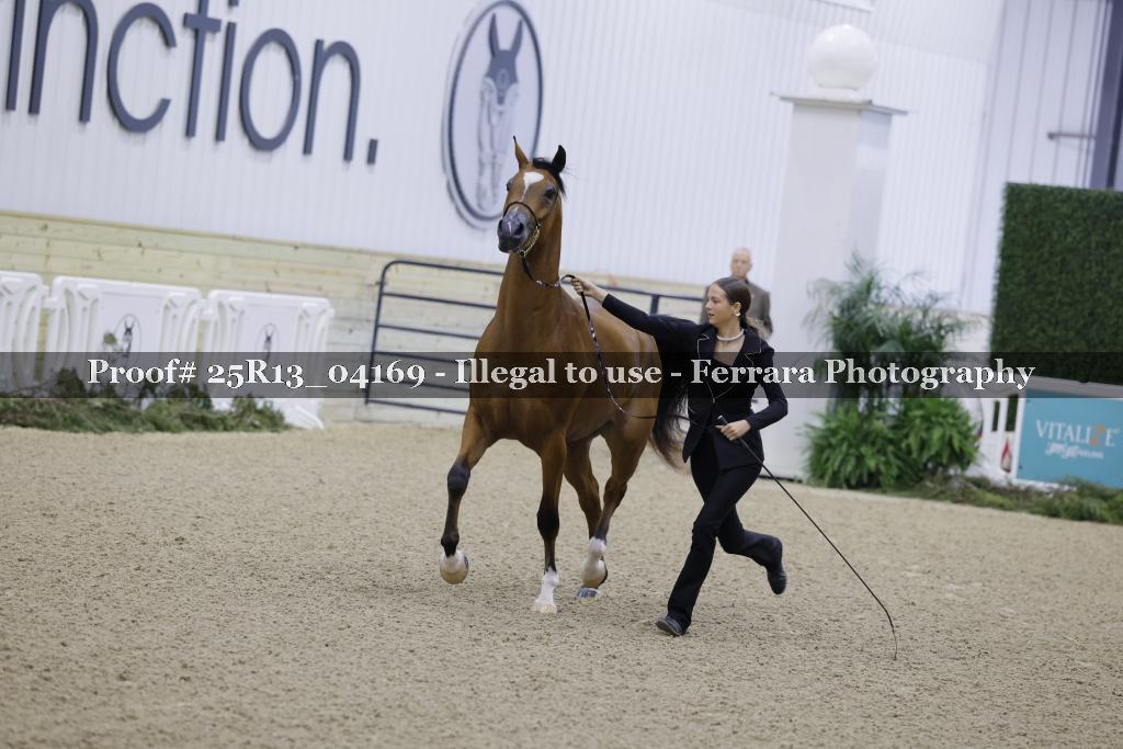 Proof 25R13_04169