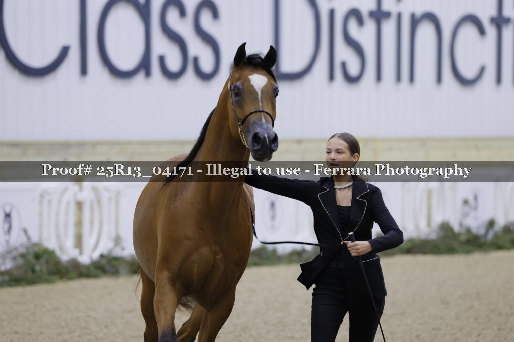 Proof 25R13_04171