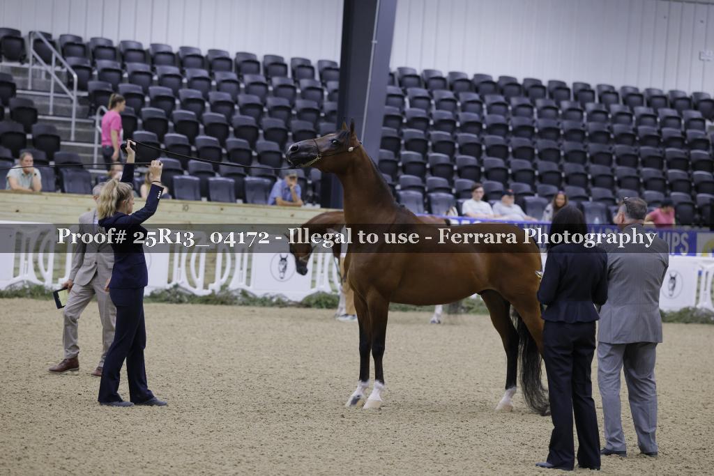 Proof 25R13_04172