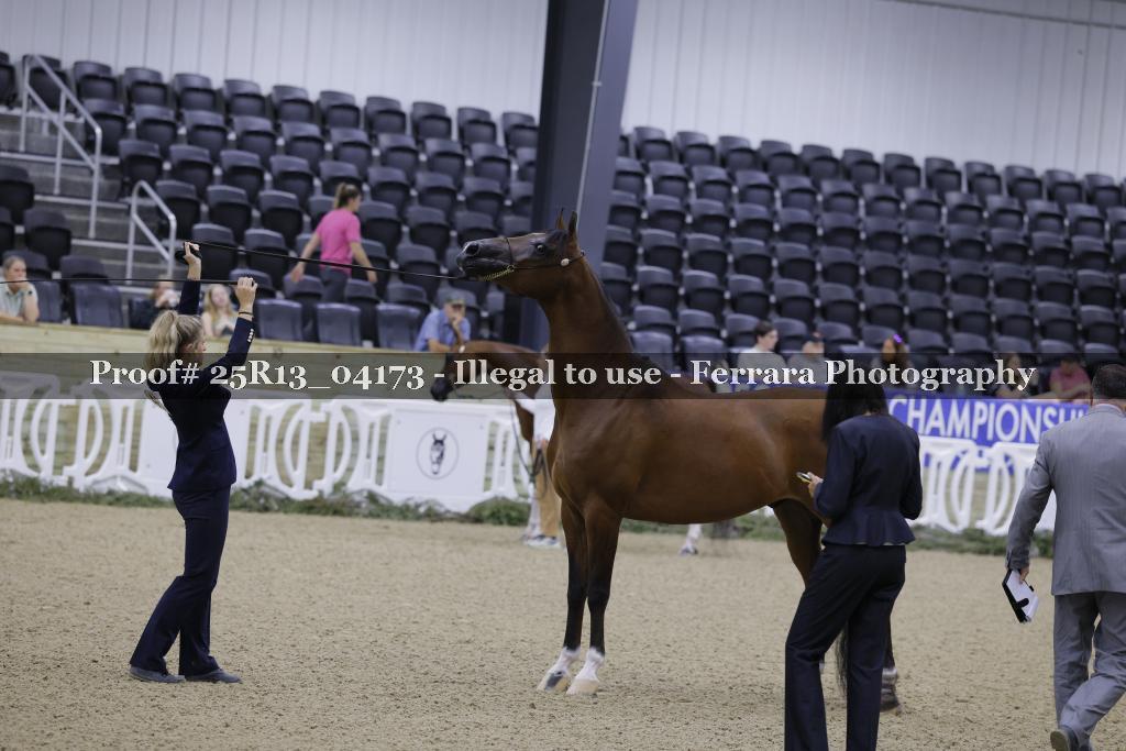 Proof 25R13_04173