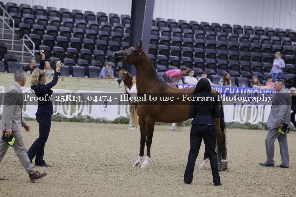 Proof 25R13_04174