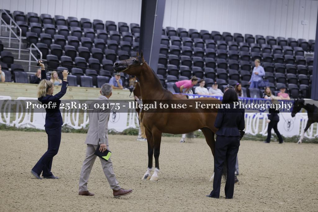 Proof 25R13_04175