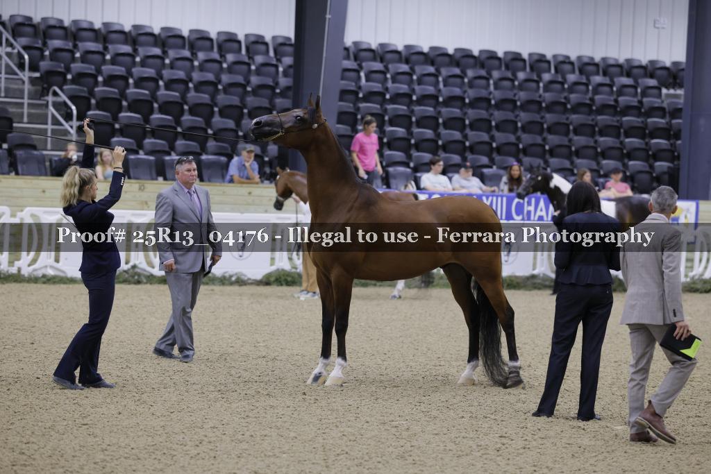 Proof 25R13_04176