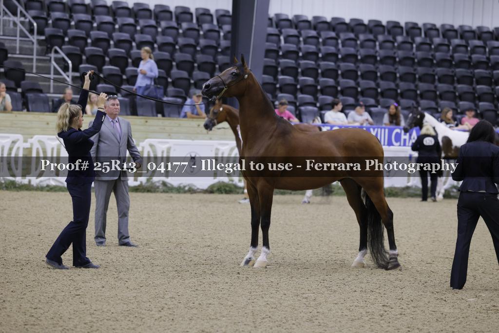 Proof 25R13_04177