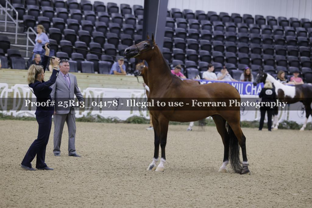 Proof 25R13_04178
