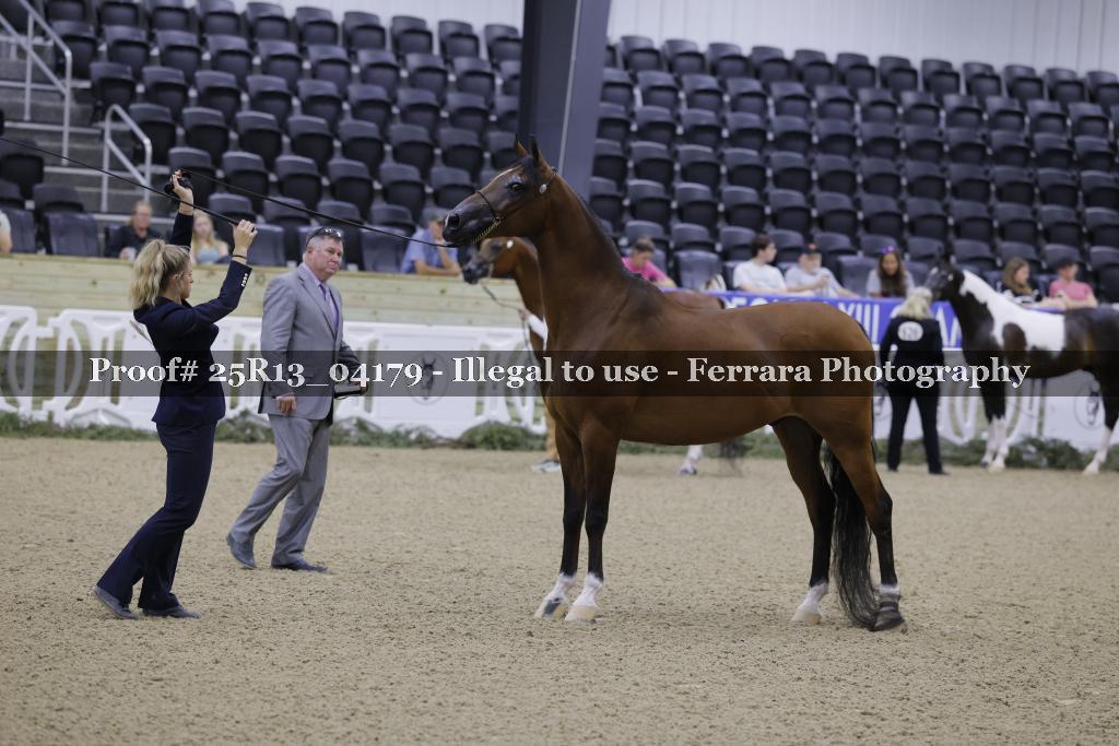 Proof 25R13_04179