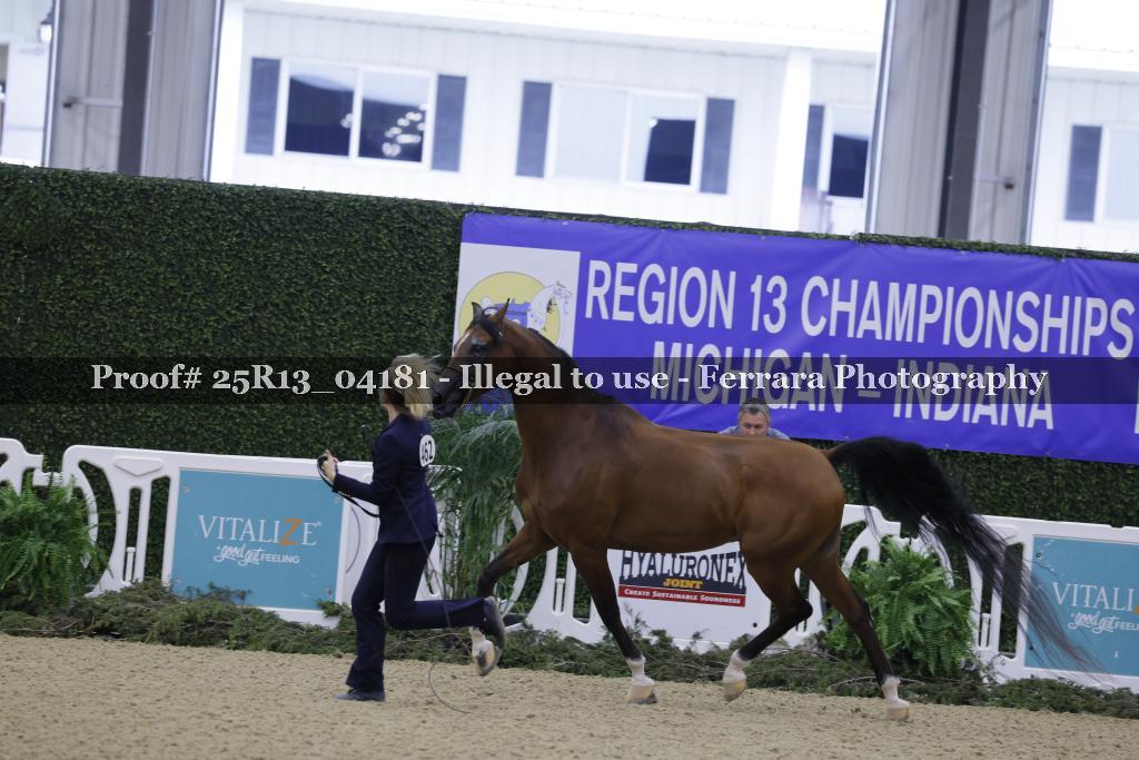 Proof 25R13_04181