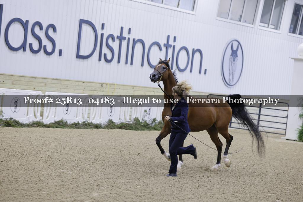 Proof 25R13_04183