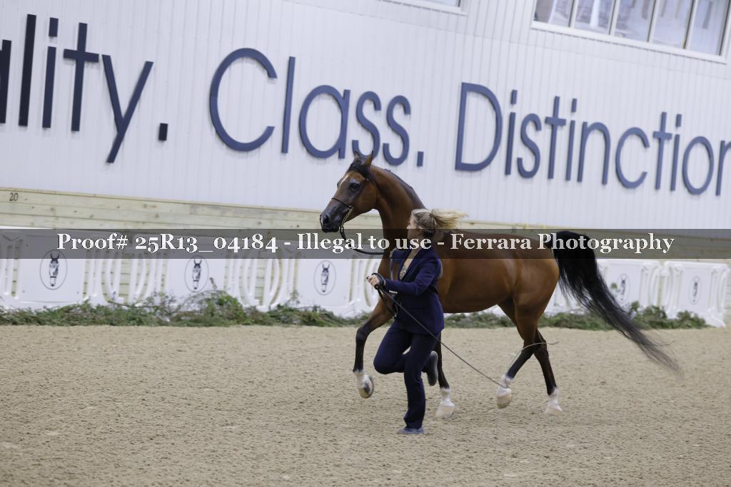 Proof 25R13_04184