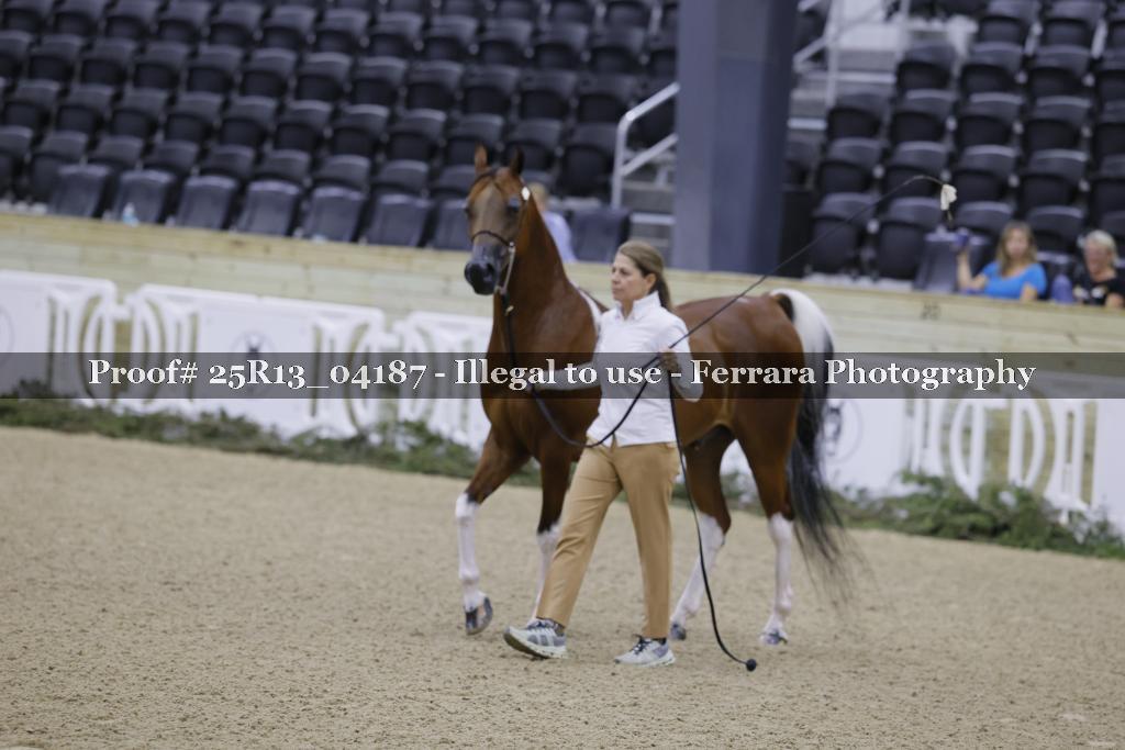 Proof 25R13_04187