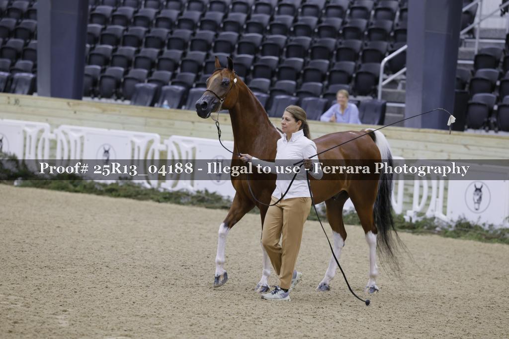 Proof 25R13_04188