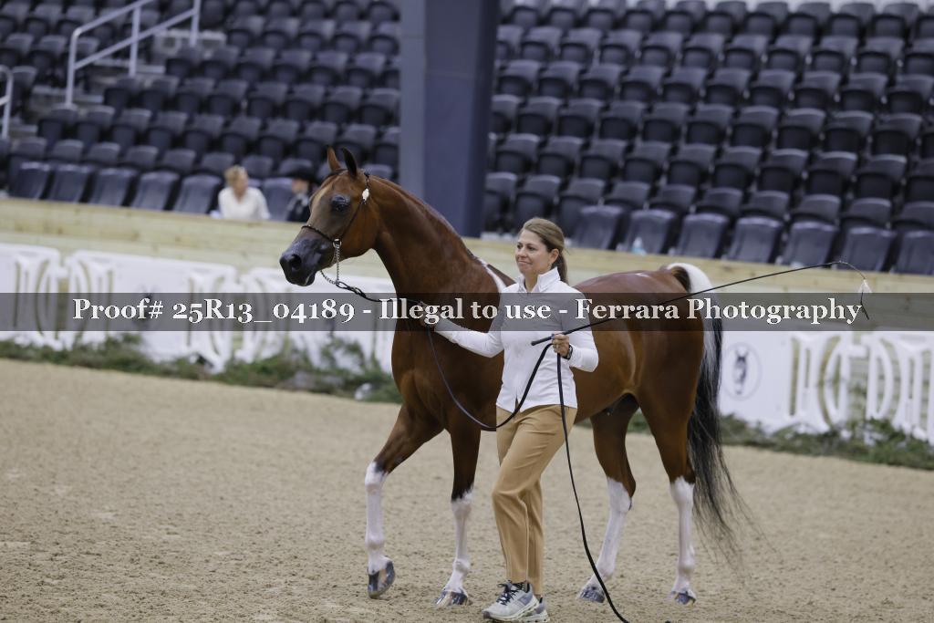 Proof 25R13_04189
