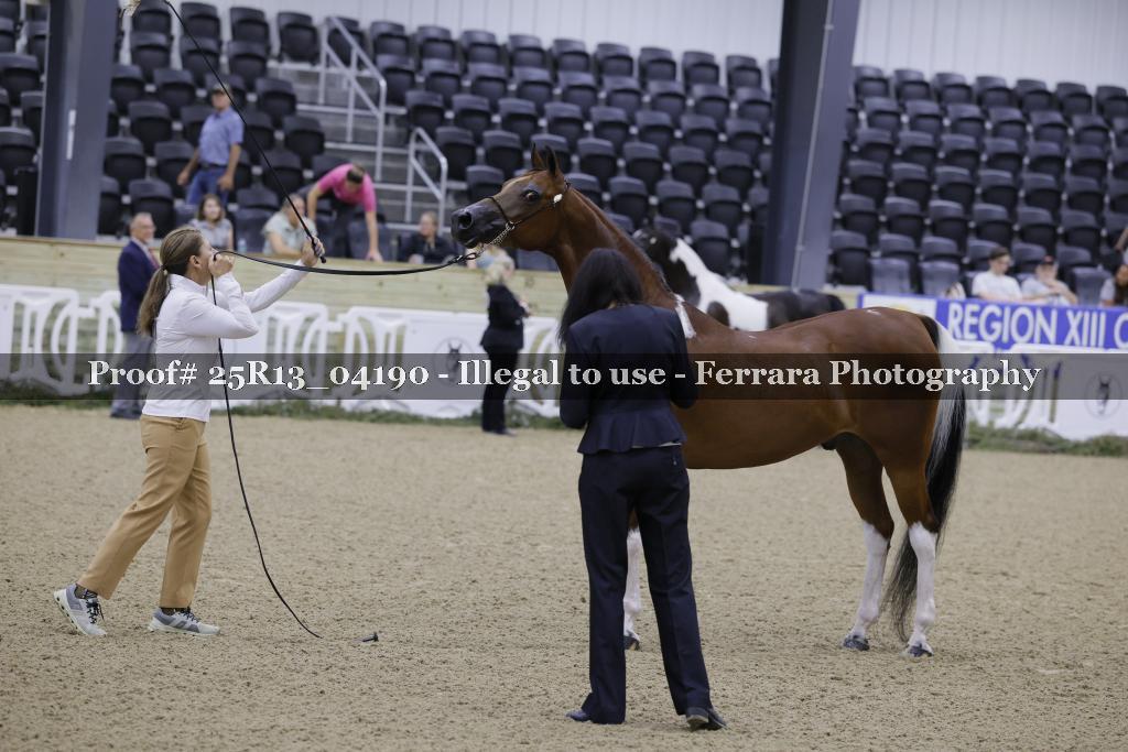 Proof 25R13_04190