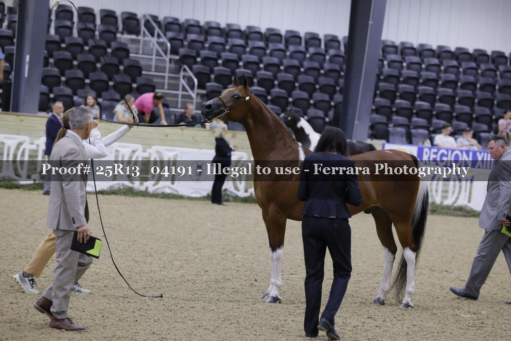 Proof 25R13_04191