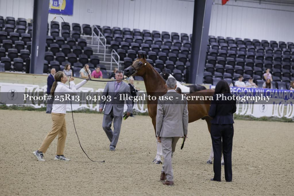 Proof 25R13_04193
