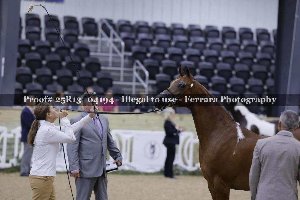 Proof 25R13_04194