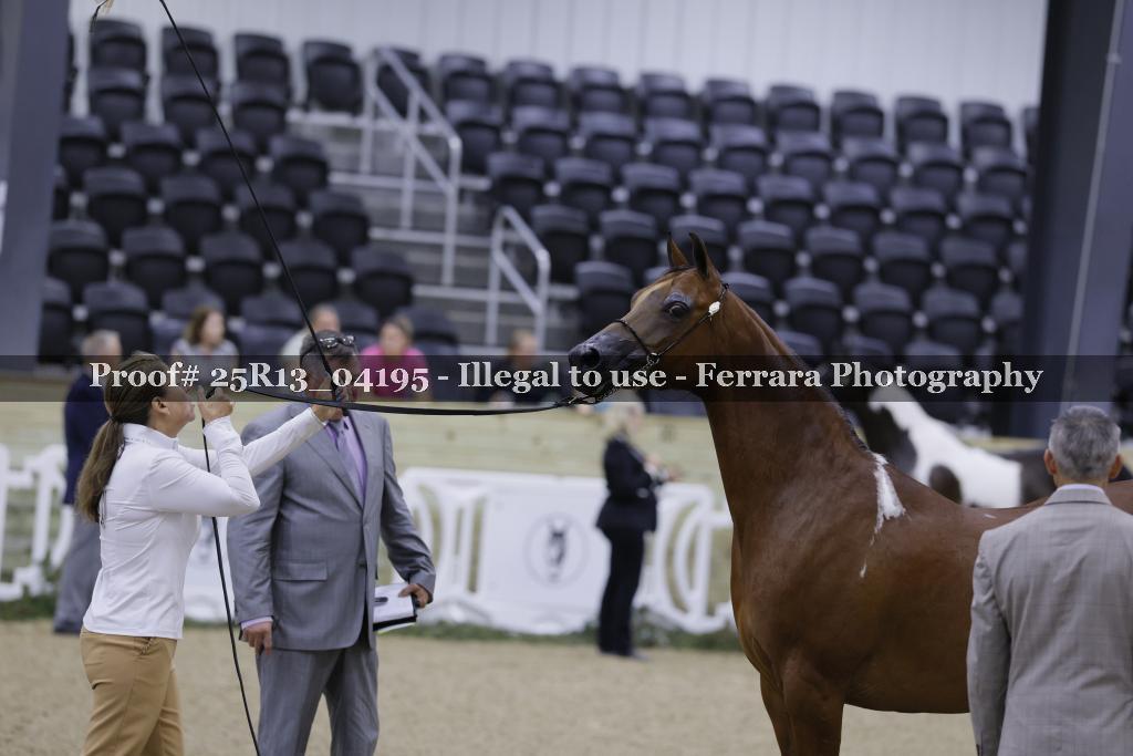 Proof 25R13_04195