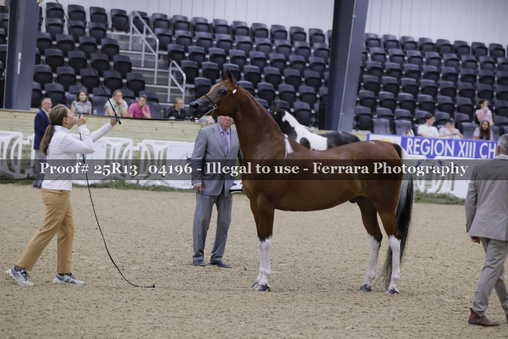 Proof 25R13_04196