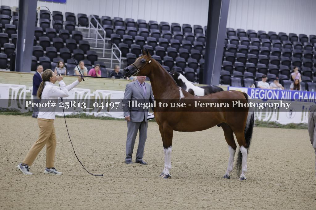 Proof 25R13_04197