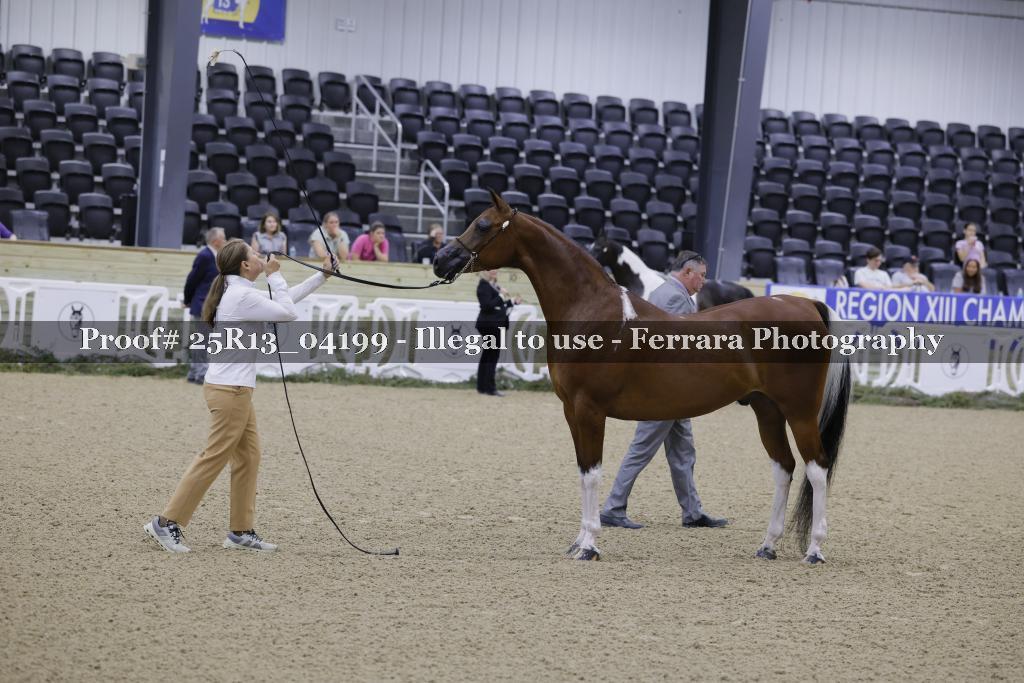 Proof 25R13_04199