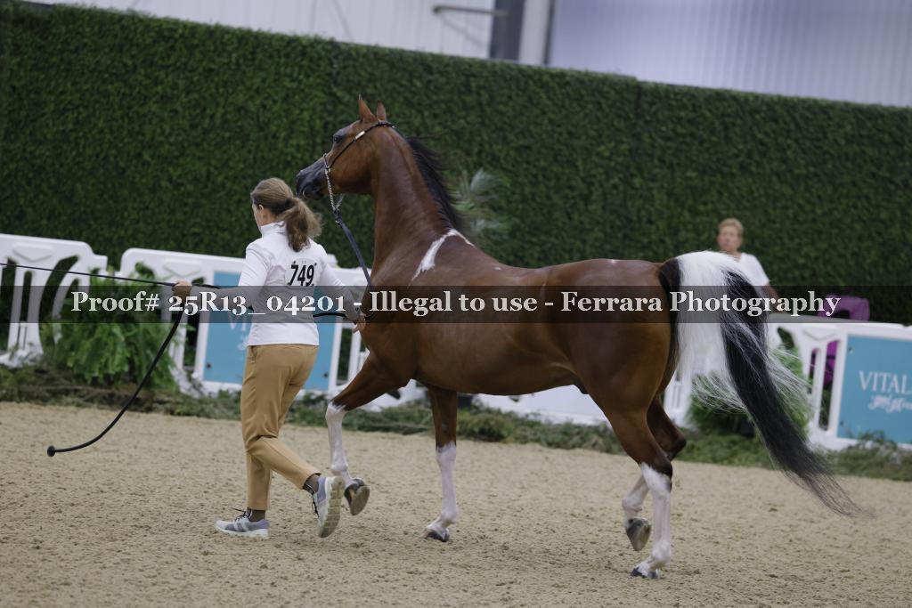 Proof 25R13_04201