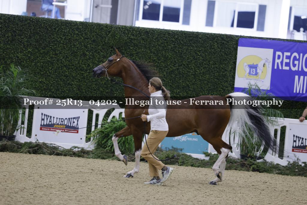 Proof 25R13_04202