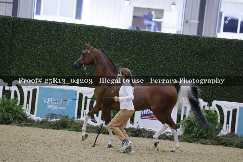 Proof 25R13_04203