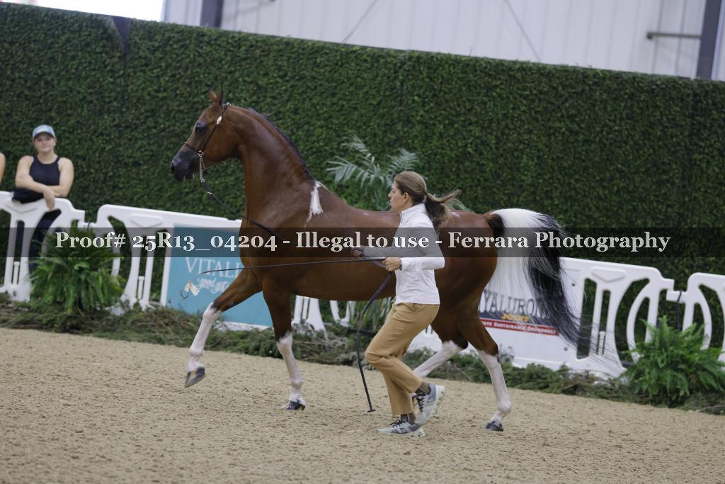 Proof 25R13_04204