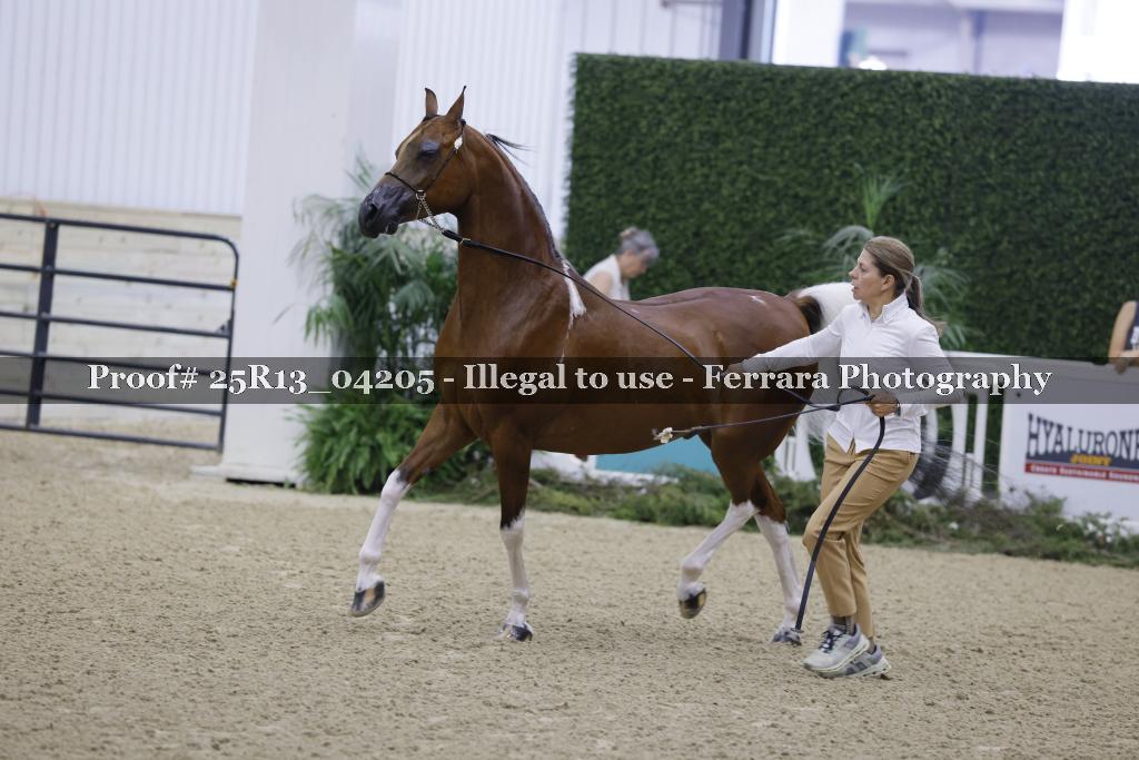 Proof 25R13_04205