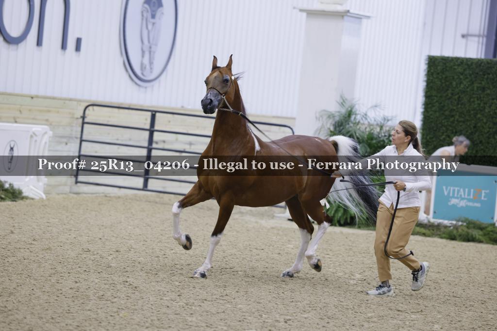 Proof 25R13_04206