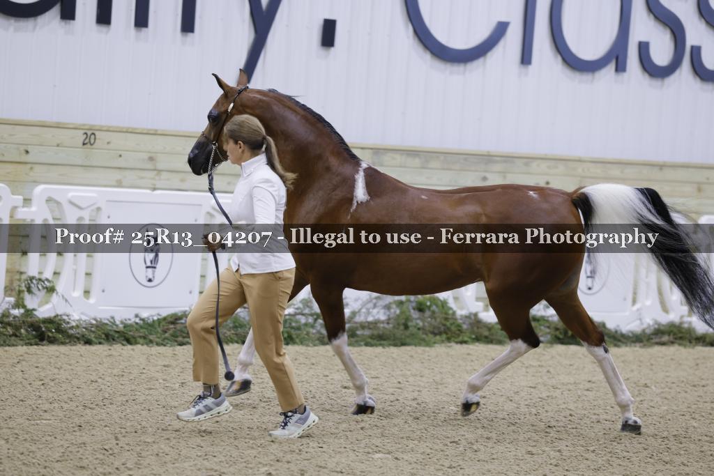 Proof 25R13_04207