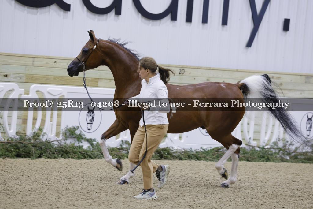 Proof 25R13_04208