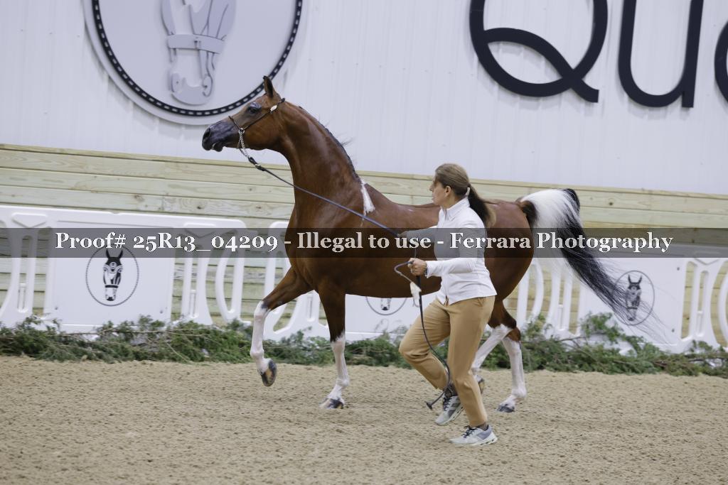 Proof 25R13_04209