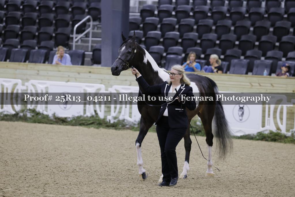Proof 25R13_04211