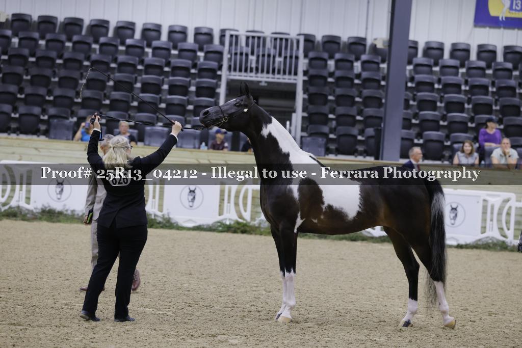 Proof 25R13_04212