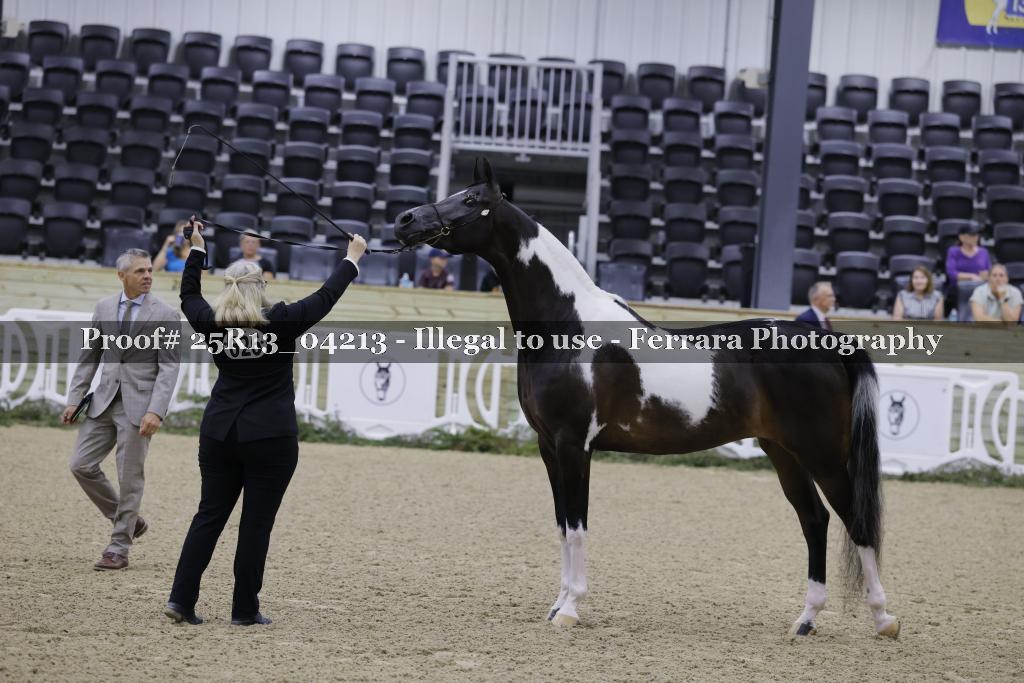 Proof 25R13_04213