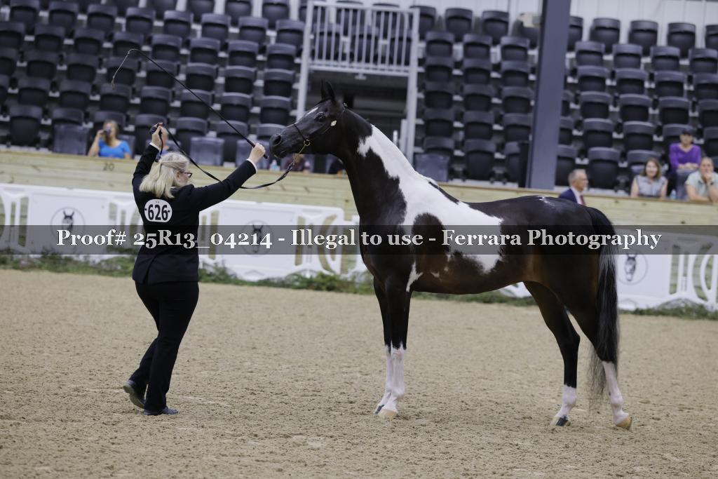 Proof 25R13_04214