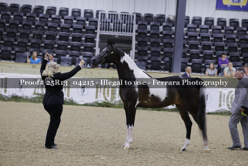 Proof 25R13_04215