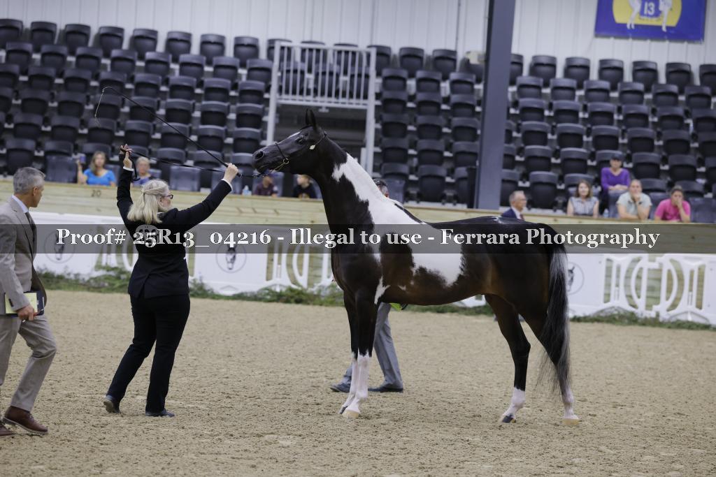 Proof 25R13_04216