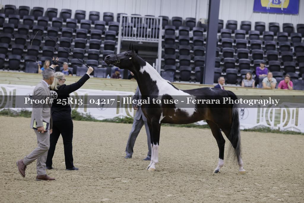 Proof 25R13_04217