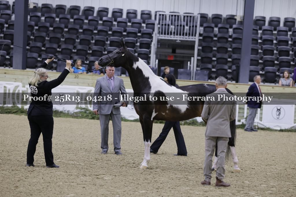 Proof 25R13_04218