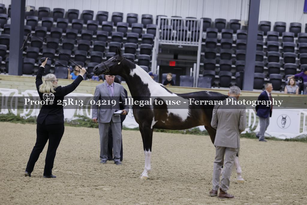 Proof 25R13_04219