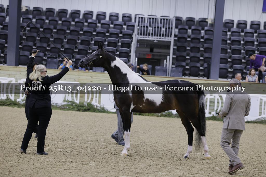 Proof 25R13_04220