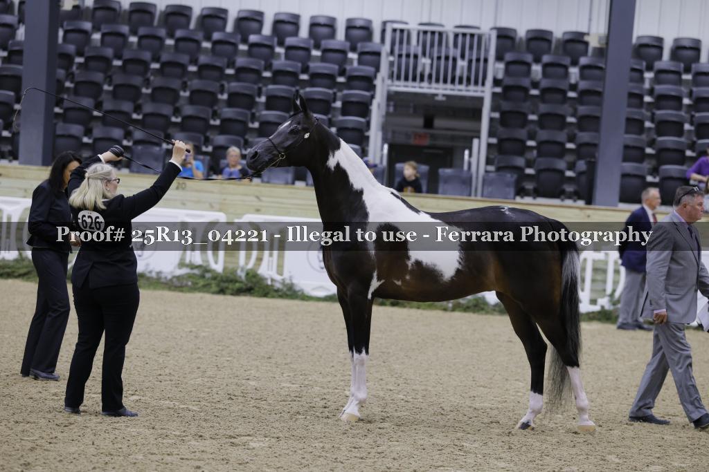 Proof 25R13_04221