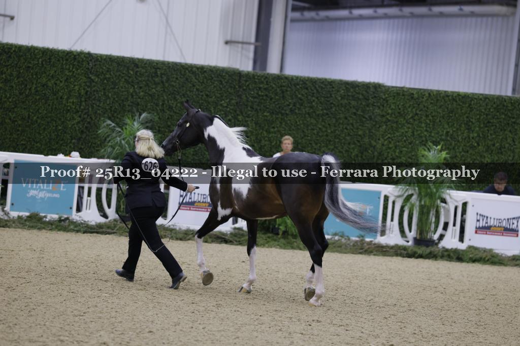 Proof 25R13_04222